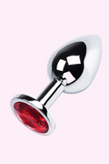 Plug anal metalico